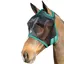 Hy Equestrian Mesh Half Mask without Ears - Black/Teal